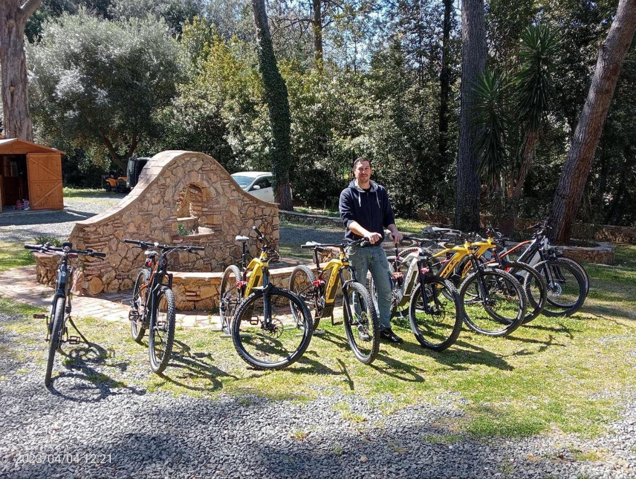 Podere San Filippo B&B-Apartment-Pet Friendly-Rent Bike And Bike Friendly Bibbona Exterior photo
